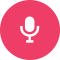 icon voice 2